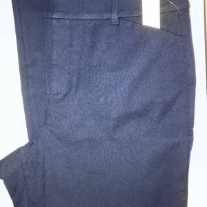 NWT Old Navy pixie skinny high rise navyy pants 14